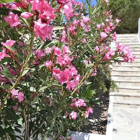 Paradiso Boutique Hotel Paro