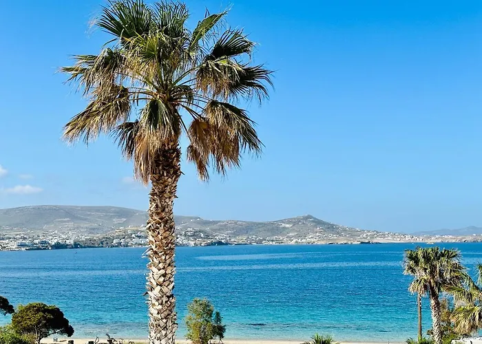 Hotel Paradiso Boutique Paro