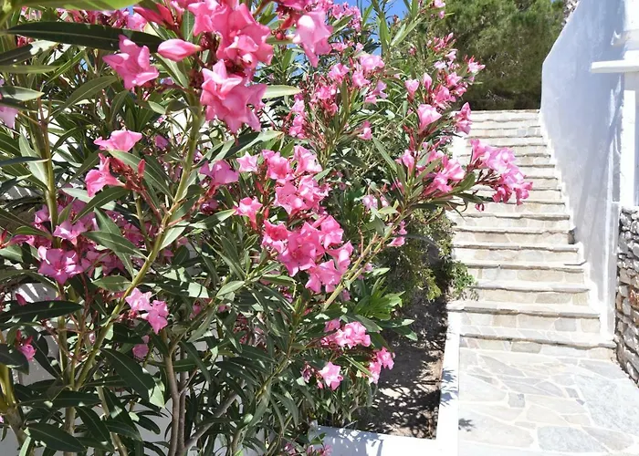 Paradiso Boutique Hotel Paro