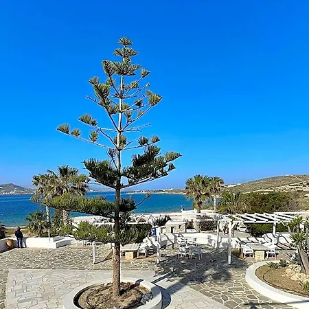 Paradiso Boutique Hotel 3*